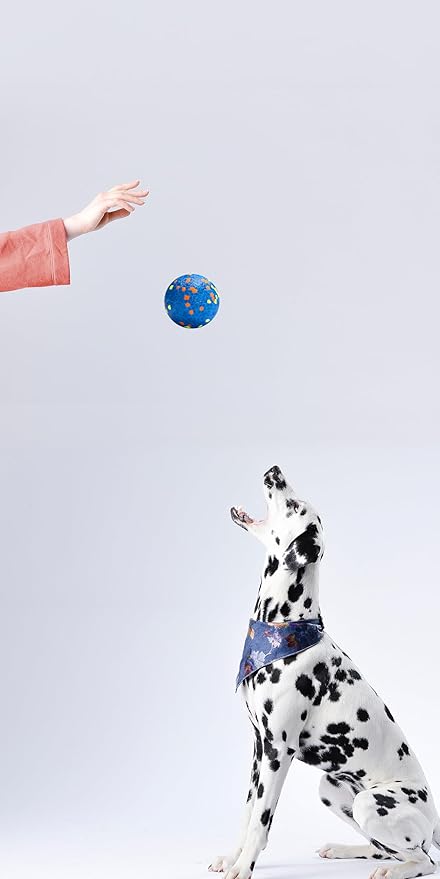 Dog Balls, Indestructible Dog Toy Ball for Aggressive Chewers, Durable High Elasticity Interactive Ball for Training Dog Catch and Fetch, Large Medium Small Dog and Puppies(Blue, 3in, 1pcs)