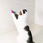 Cat Feather Toys Refills, 8 Pieces Natural Da Bird Feathers Refill, Cat Wand Replacement Feather for Indoor Cats (D)