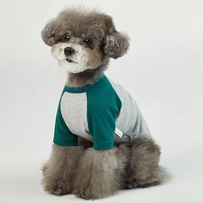 Dog Shirt for Small and Large Dogs Raglan Cotton T-Shirts Soft Breathable Dog Shirts pet Clothes Gray Series (Small, Gray/Green)