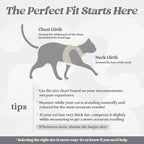 rabbitgoo Cat Harness and Leash Set for Walking Escape Proof, Adjustable Soft Kittens Vest with Reflective Strip for Cats, Comfortable Outdoor Vest, Grey, M