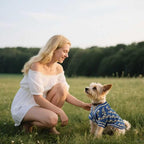 Pet Sweaters for Dogs Boys and Girls, Dynamic Letter Patterned Dog Sweater,Dog Cardigan,Pet Clothes,Pet Knitted Clothing,Fit for Different Seasons and Kinds of Dogs (Blue L)