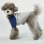 Dog T-Shirt (Raglan) - Gray/Navy, X-Small, Cotton, Breathable, Lightweight