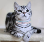 THAIN Rhinestones Cat Dog Collar Soft Velvet Safe Adjustable Collar Bling Diamante with Bells, 8-11 inch for Small Dogs and Cats (Light Blue)