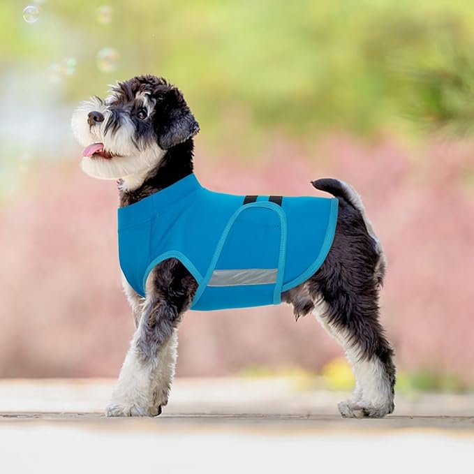 MIGOHI Dog Anxiety Relief Coat,Comfort Anxiety Vest for Dogs,Adjustable Dog Anxiety Calming Wrap for Fireworks,Thunderstorm,Travel,Separation,Anxiety Jacket for Small Dogs,XS,Blue
