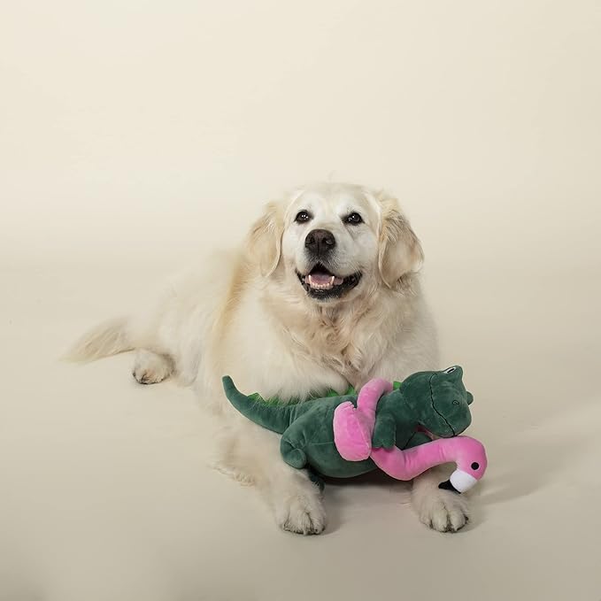 Fringe Studio Squeaker Pet Toy, T-Rex (728003)
