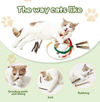 Catnip Chew Toys for Cats, 12 Pack Cat Toys with Silvervine Sticks, Natural Silvervine Stick Cage Balls & Bell Balls for Indoor Cats