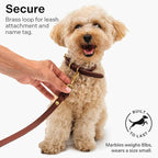 Classic Genuine Leather Dog Collar | Dog Collars for Medium Dogs, Small Dogs, Large Dogs & Extra Large Dog | Wide Dog Collar | Heavy Duty Dog Collar | Dark Brown (S: 0.8" Wide for 10.5"-13.5" Neck)