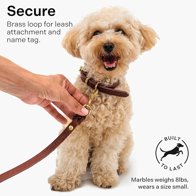 Scout Supply Classic Leather Dog Collar | Heavy Duty Thick Full Grain Leather | Waterproof & Rust-Proof Brass Hardware (Dark Brown, Small)