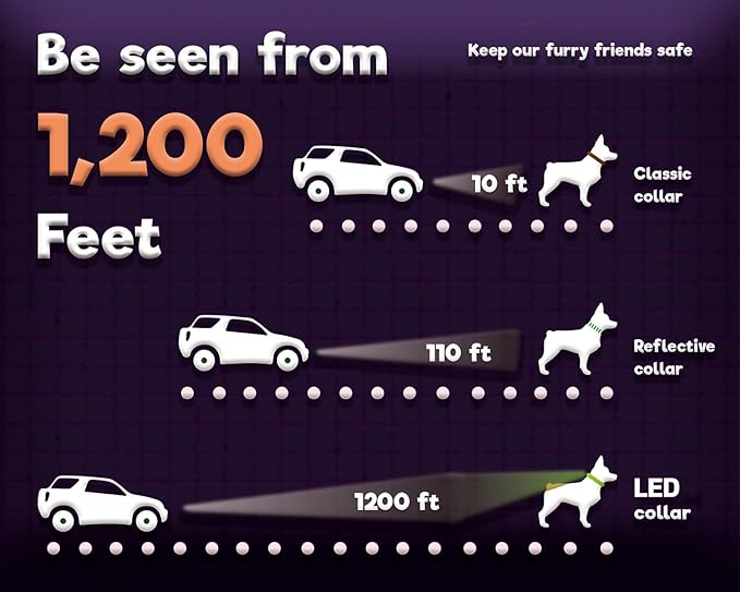 DOGWONG LED Dog Collar - Heavy Duty Light up Collars - Rechargeable Waterproof - Lighted Dog Collar for Night Walking, Hiking, Camping(Green,M)