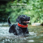 SATELLAI Dog Wireless Fences, Gray The Most Advanced GPS Dog Collar with AI Analysis, Precise Positioning, 5-Day Battery, and IP68 Waterproof, Flexible Virtual Fencing for Medium & Large Dogs