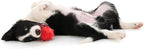 Playology Dog Toys | Puppy Toy Teething Ball Designed for Young & Active Dogs | Medium Beef Scented Toy Made from Non Toxic Materials