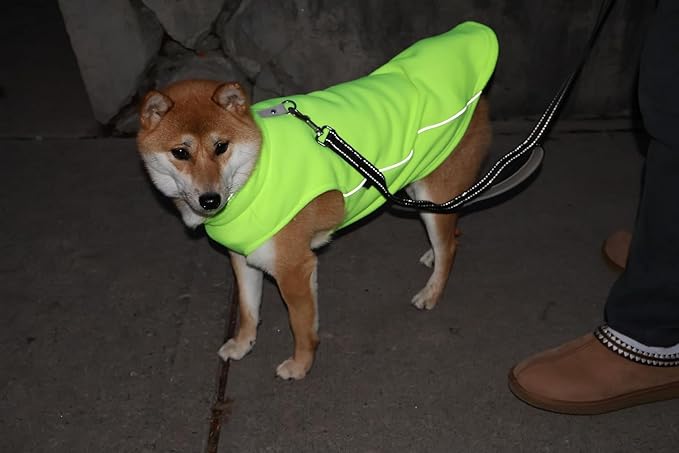 JACKO & CO - Fleece Vest Dog Sweater with Leash Ring - Soft, Warm & Lightweight Pullover Coat for Small & Medium Dogs, Puppies & Cats - Cozy Fall/Winter/Spring Pet Jacket (Lime Green, Medium 6-10lbs)