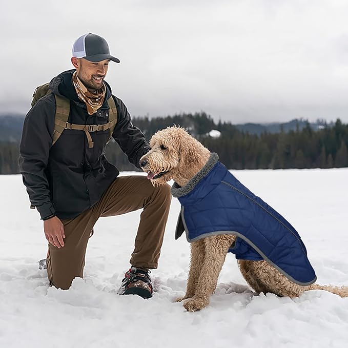 Fragralley Dog Coat Small, Waterproof Dog Jacket with Warm Fleece Lining, Adjustable Reflective Dogs Winter Coat, Turtleneck Pet Coats for Cold Weather (Blue S)