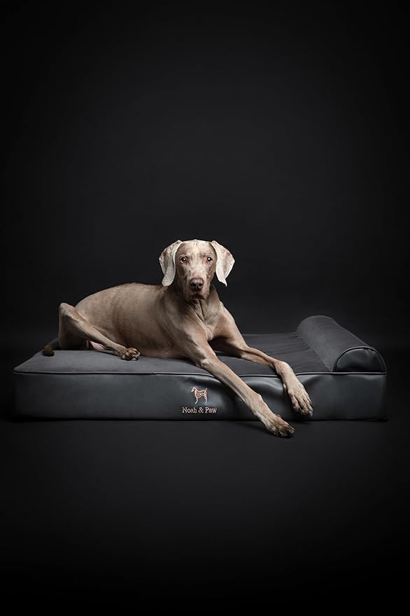 NOAH & PAW XL Dog Bed, 45x35x9.1 Inch, Orthopedic Large Dog Beds, Eggshell Memory Foam Infused with Cooling Gel, Waterproof, Machine Washable, Includes Inner Cover (Faux Leather)
