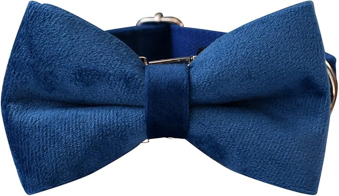 Dog Collar Custom Personalized Engraved Name and Phone Number for Puppy Small Medium Large Pets (XL, Blue)