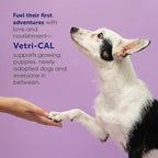 High Calorie Nutritional Gel for Dogs & Cats – Appetite Booster with Omega 3-6-9, Vitamins A-D-E-B – Recovery & Energy Support – Tasty Malt Flavor – 5 oz Tube