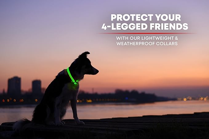 ILLUMISEEN LED Dog Collar USB Rechargeable - Bright & High Visibility Lighted Glow Collar for Pet Night Walking - Weatherproof, in 6 Colors & 6 Sizes (Green X-Small)
