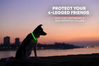 Illumiseen LED Dog Collar USB Rechargeable - Bright & High Visibility Lighted Glow Collar for Pet Night Walking - Weatherproof, in 6 Colors & 6 Sizes (Green XX-Small)