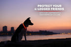 ILLUMISEEN LED Dog Collar USB Rechargeable - Bright & High Visibility Lighted Glow Collar for Pet Night Walking - Weatherproof, in 6 Colors & 6 Sizes (Red Large)
