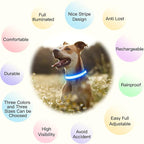 YFbrite Light up Dog Collar, USB Rechargeable LED Puppy Collar Super Bright Adjustable Glowing Dog Lights for Night Walking (Design-2- Blue, Small)