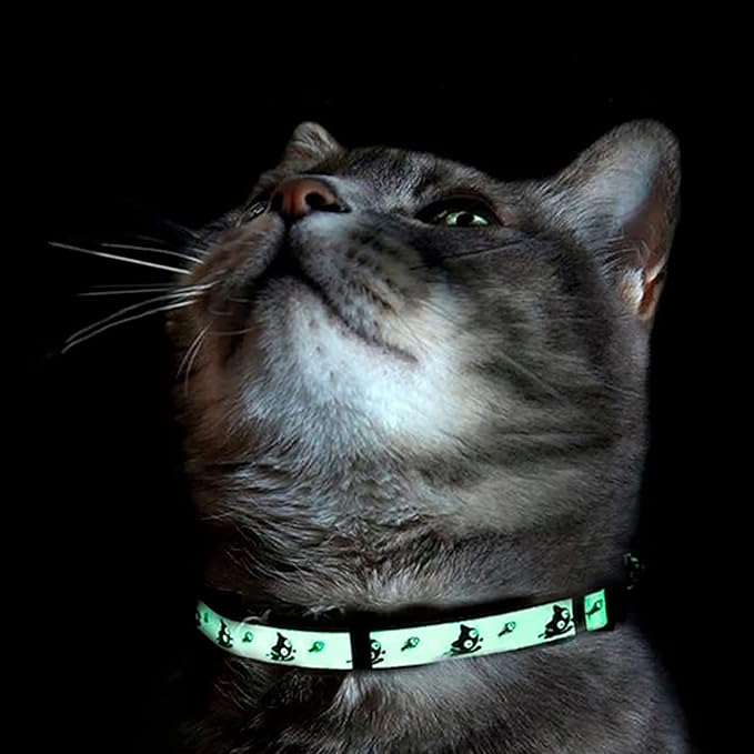 Pawtitas Glow in The Dark Cat Collar Kitten Collar with Safety Buckle and Removable Bell - Teal