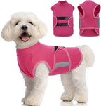 MIGOHI Dog Anxiety Relief Coat,Comfort Anxiety Vest for Dogs,Adjustable Anxiety Calming Wrap for Fireworks,Thunderstorms,Travel, Separation, Dog Anxiety Jacket for Small Dogs,S,Rosered