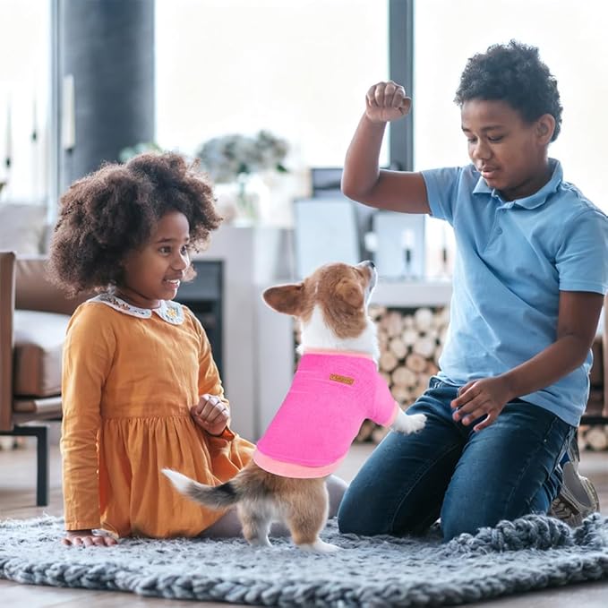 GreenJoy Classic Fleece Dog Sweater – Soft & Warm Stretchy Sweatshirt for Small Dogs & Cats, Cold-Weather Pullover for Everyday Wear (Dark Pink, Large/X-Large)