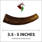 X Small Whole 5 Pack (for 0-15 lb Dogs and Puppies) Premium Grade Elk Antlers for Dogs (5 Pieces) Sourced in The USA