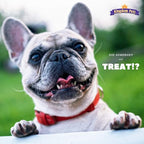 Duck Jerky Dog Treats with Only 3 Ingredients and No Fillers, 2.5 Pound Bag
