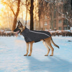 SlowTon Winter Dog Coat, Warm Polar Fleece Lining Doggie Outdoor Jacket with Turtleneck Scarf Reflective Stripe Adjustable Waterproof Windproof Puppy Vest Soft Pet Outfits (L+,Grey)