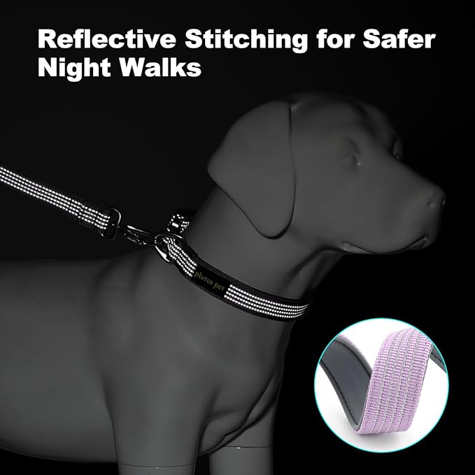 Plutus Pet Reflective Dog Collar with Aviation Aluminum Buckle, Neoprene Padded for Comfort, Lightweight, Heavy Duty Nylon Collar for Puppy Small Medium Large Dogs (Lilac Purple, S)