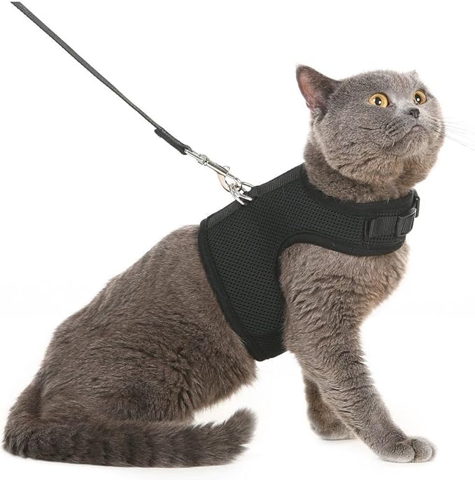 PUPTECK Soft Mesh Cat Vest Harness and Leash Set Puppy Padded Pet Harnesses Escape Proof for Cats Small Dogs Rabbits Bunny, Black Large