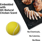 Playology Dog Toys | Squeaky Chew Ball - Bouncy Durable Floating Fetch Ball for Dogs | Medium Chicken Scented Toy - Easy to Clean and Made from Non Toxic Materials