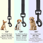Dogline Biothane Waterproof Dog Leash Strong Coated Nylon Webbing with Black Hardware Odor-Proof Easy to Clean High Performance for Small or Large Dogs Made in USA 4 or 6 ft Lead, Black