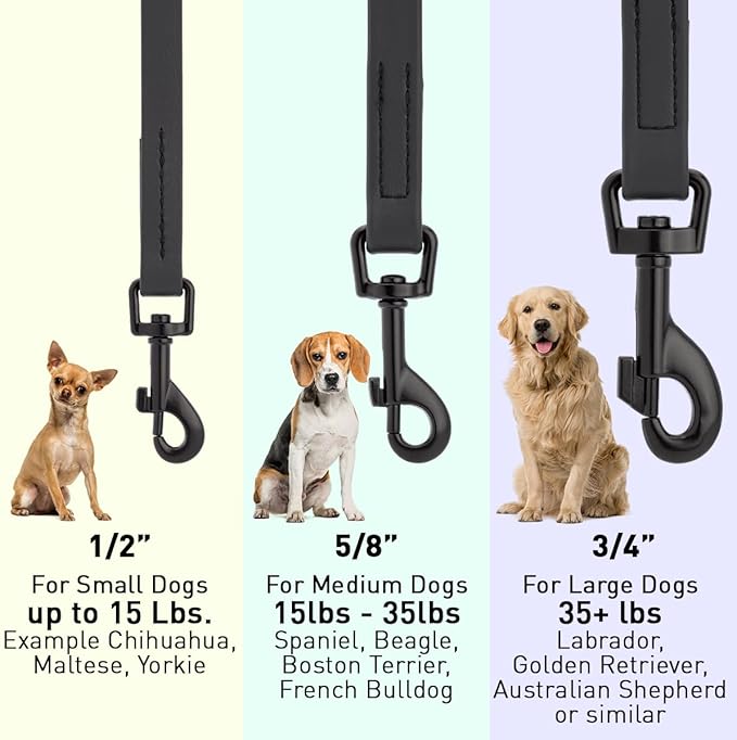 Dogline Biothane Waterproof 6ft Dog Leash Strong Coated Nylon Webbing with Black Hardware Odor-Proof Easy to Clean High Performance for Small or Large Dogs Made in USA 6ft Lead, Black
