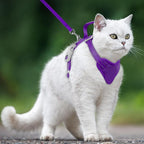 Cat Harness and Leash Set Escape Proof for Kitten Walking, Soft Adjustable Top Handle Vest Harnesses for Cats, Easy Control Breathable Reflective Small Medium Large, Purple, XXS