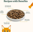 Made by Nacho Kitten Dry Kibble Infused with Bone Broth, Healthy High Protein Cat Food, Cage-Free Chicken and Chicken Liver, 4lb Bag