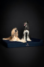 NOAH & PAW Giant Dog Bed XXL 55x45x9.5 Inch, Orthopedic Dog Beds, Eggshell Memory Foam Infused with Cooling Gel, Waterproof, Machine Washable, Includes Inner Cover (Denim Collection)