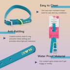 Wild One, Limited Edition, Designer Collection, Blue Dog Collar, Easy-Clean, All Weather Flex-Poly Strap with Metal, Durable, Dirt and Odor Resistant, Medium