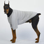 Dog Shirt for Small Dogs Plain T-Shirts Soft Breathable Dog Cotton Shirt pet Clothes (5X-Large, Gray)