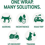 PAWPANG Copper Fit Mate Washable Male Dog Belly Band Kit – 1 Reusable Male Wrap with 15 Dog Diaper Liners, Ideal for Senior Dogs, Incontinence, and Marking, L