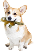 ALL FOR PAWS Squirrel Squeaky Doy Toy, Squirrel Dog Toy for Small Medium Breed, Puppy Fetch Toy with Squeaker, Plush Chew Dog Toy, 5.9 x 4.3 x 2.8 inches, Classic-Chipmunk S