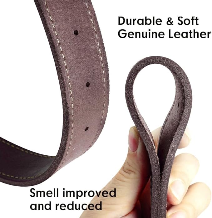 Didog Genuine Leather Dog Collars with Engraved Nameplate, Personalized Soft Leather Dog Collar with Custom ID Tag, Brown/Green/Red for Medium Large Dogs (L,Brown)
