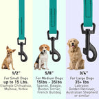 Dogline Biothane Waterproof Dog Leash Strong Coated Nylon Webbing with Black Hardware Odor-Proof Easy to Clean High Performance for Small or Large Dogs Made in USA 4 or 6 ft Lead, Blue Aqua