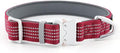 Plutus Pet Reflective Dog Collar with Aviation Aluminum Buckle, Neoprene Padded for Comfort, Lightweight, Heavy Duty Nylon Collar for Puppy Small Medium Large Dogs (Burgundy Red, M)