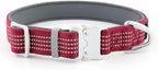 Plutus Pet Reflective Dog Collar with Aviation Aluminum Buckle, Neoprene Padded for Comfort, Lightweight, Heavy Duty Nylon Collar for Puppy Small Medium Large Dogs (Burgundy Red, M)