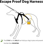 Huntboo Escape Proof Dog Harness, No Pull Reflective Harness with Lift Handle, Adjustable Pet Vest with Front and Back Leash Clips for Small Medium Large Dogs Walking Hiking Training (Teal,XL)