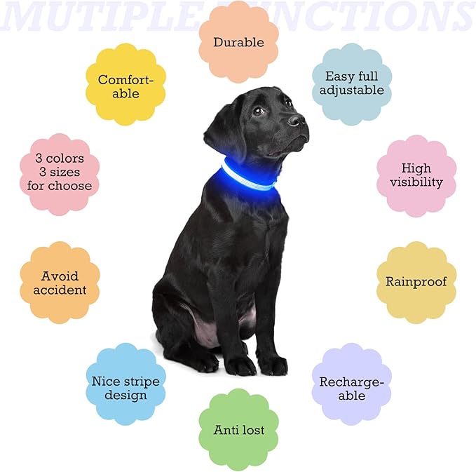 YFbrite Full Adjustbale LED Dog Collar, Full Illuminated Light up Dog Collars, Reflective Dog Collar Light Glowing in The Dark for All Dogs Safety (Medium, Blue-2)