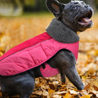 Doglay Dog Coat, Waterproof Dog Jacket Pet Winter Coat for Cold Weather with Thicken Furry Collar, Reflective Puppy Winter Jacket Warm Fleece Lining for Small Medium Large Pets
