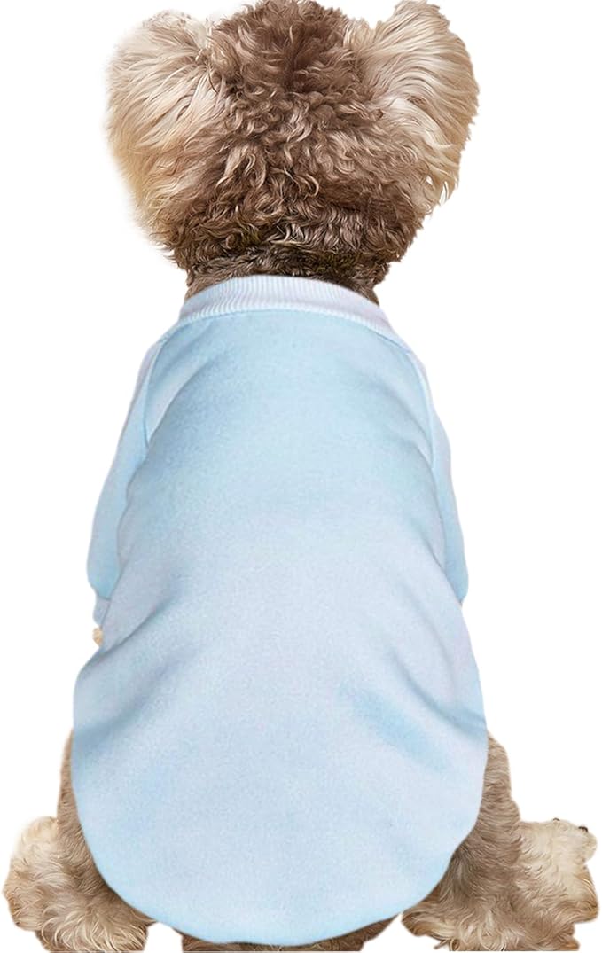 Puppy Sweater for Small Dogs Clothes Warm Winter Cat Clothe Pet Sweatshirt Knitwear Doggie Kitten Clothing, Light Blue, XX-Small
